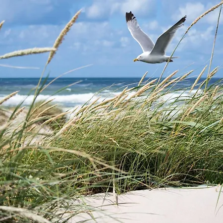 Cozy For 8 Persons In * Knokke-Heist