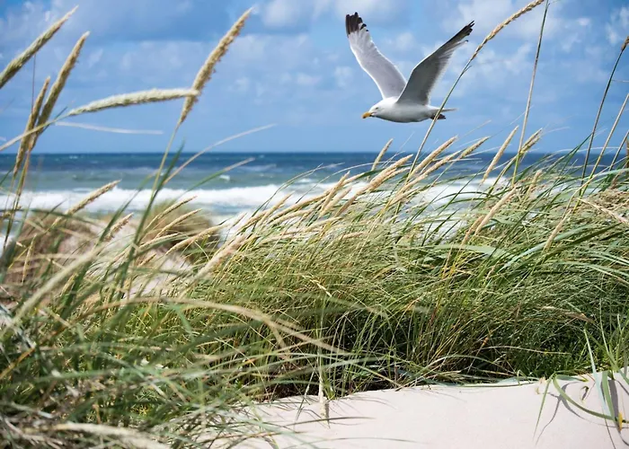 In Duinbergen Near Sailing Club *